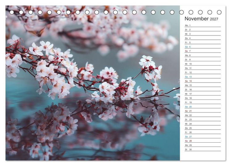 Produktbild: Japanische Kirschbl&uuml;te (Tischkalender 2027 DIN A5 quer), CALVENDO Monatskalender