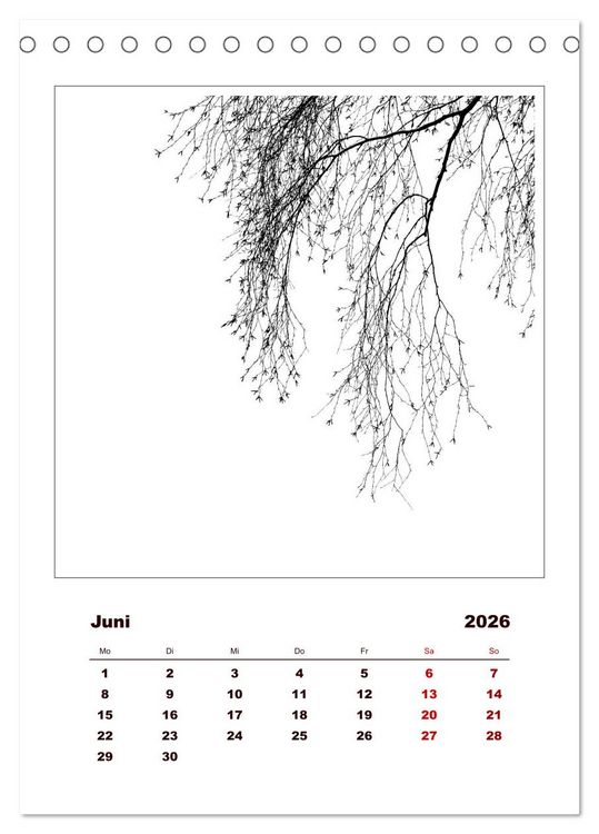 Produktbild: LignoGrafica - Muster und Strukturen der B&auml;ume (Tischkalender 2026 DIN A5 hoch), CALVENDO Monatskalender