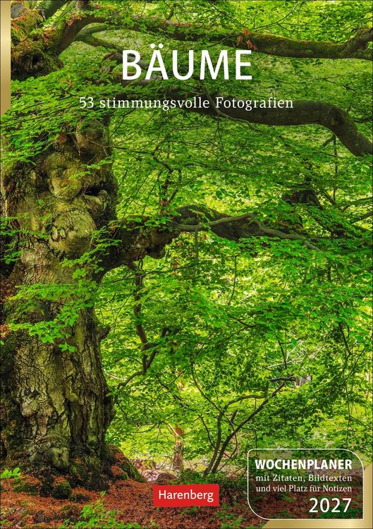 Produktbild: B&auml;ume Wochenplaner 2027 - 53 stimmungsvolle Fotografien