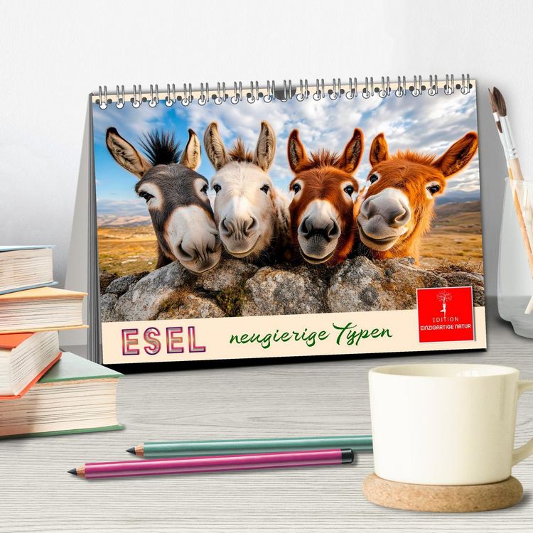 Produktbild: Esel - neugierige Typen (Tischkalender 2027 DIN A5 quer), CALVENDO Monatskalender