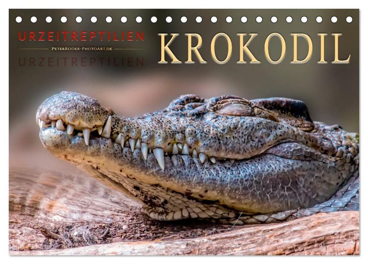Produktbild: Urzeitreptilien - Krokodil (Tischkalender 2026 DIN A5 quer), CALVENDO Monatskalender