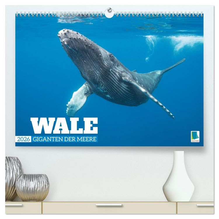 Produktbild: Wale: Giganten der Meere (hochwertiger Premium Wandkalender 2026 DIN A2 quer), Kunstdruck in Hochglanz