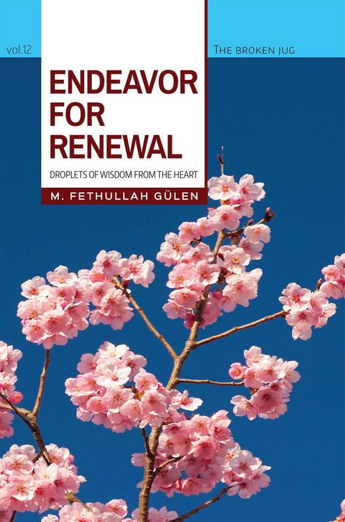 Produktbild: Endeavor for Renewal