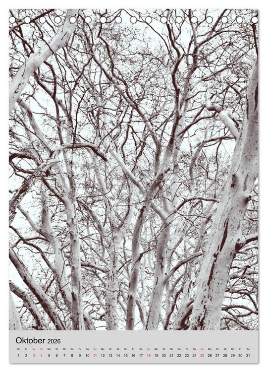 Produktbild: Natur monochrom Die besondere Wirkung (Tischkalender 2026 DIN A5 hoch), CALVENDO Monatskalender