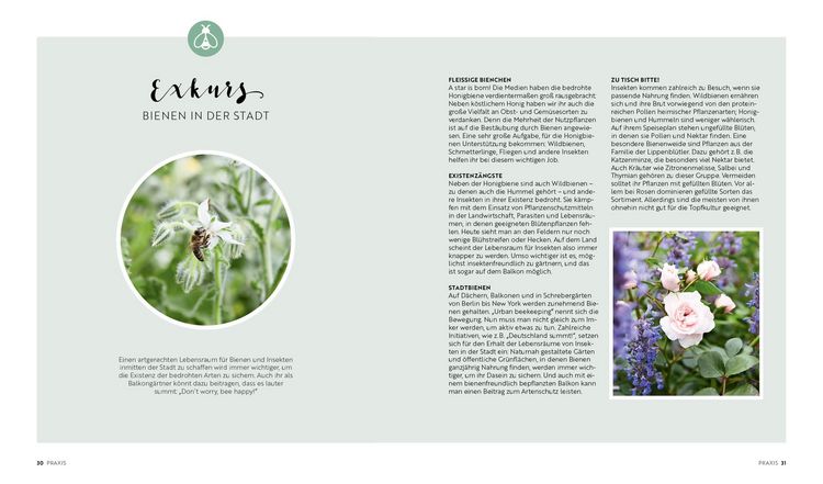 Produktbild: Mein Biobalkon