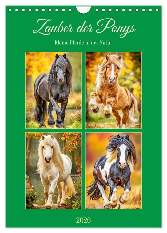 Produktbild: Zauber der Ponys. Kleine Pferde in der Natur (Wandkalender 2026 DIN A4 hoch), CALVENDO Monatskalender