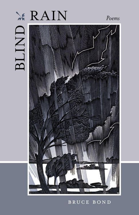 Produktbild: Blind Rain