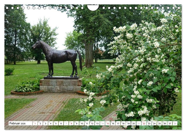 Produktbild: Mythos Trakehnen - Paradies ohne Pferde (Wandkalender 2026 DIN A4 quer), CALVENDO Monatskalender