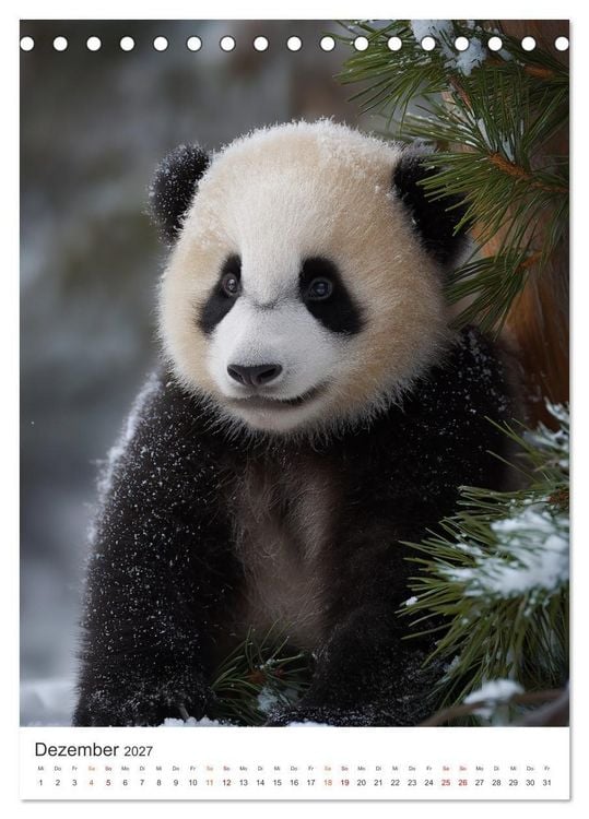 Produktbild: Panda Momente (Tischkalender 2027 DIN A5 hoch), CALVENDO Monatskalender