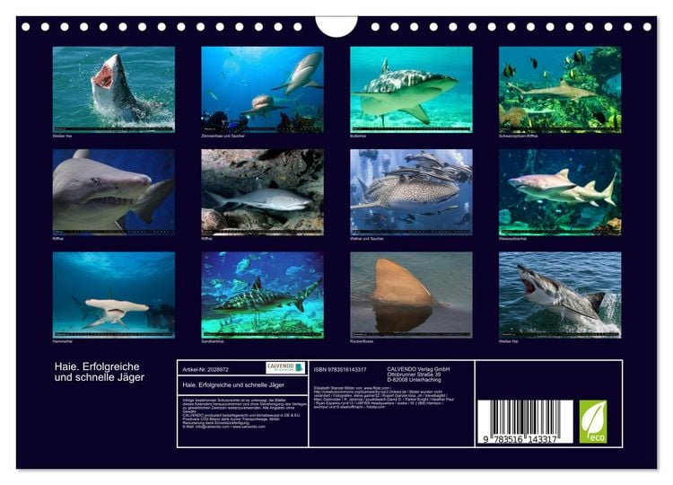 Produktbild: Haie. Erfolgreiche und schnelle J&auml;ger (Wandkalender 2026 DIN A4 quer), CALVENDO Monatskalender