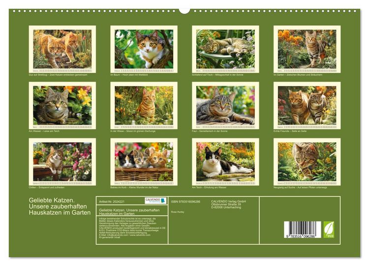 Produktbild: Geliebte Katzen. Unsere zauberhaften Hauskatzen im Garten (hochwertiger Premium Wandkalender 2026 DIN A2 quer), Kunstdruck in Hochglanz