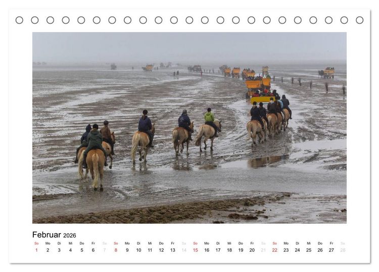 Produktbild: Die sch&ouml;ne Insel Neuwerk (Tischkalender 2026 DIN A5 quer), CALVENDO Monatskalender