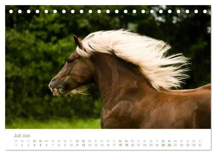 Produktbild: Faszination Schwarzw&auml;lder Kaltblut (Tischkalender 2026 DIN A5 quer), CALVENDO Monatskalender