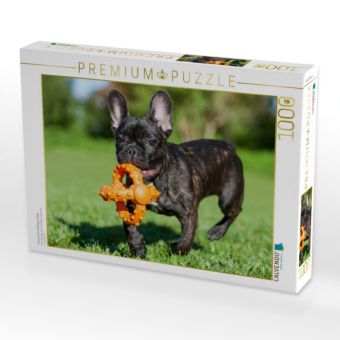Produktbild: CALVENDO Puzzle Franz&ouml;sische Bulldogge Welpe | 1000 Teile Lege-Gr&ouml;&szlig;e 64x48cm Foto-Puzzle f&uuml;r gl&uuml;ckliche Stunden