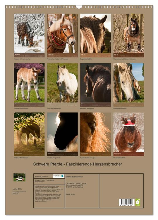 Produktbild: Schwere Pferde - Faszinierende Herzensbrecher (Wandkalender 2026 DIN A2 hoch), CALVENDO Monatskalender