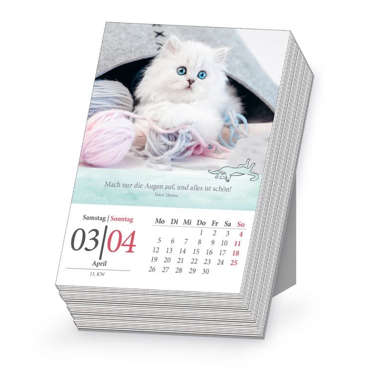 Produktbild: TR&Ouml;TSCH - Abrei&szlig;kalender Katzen 2027