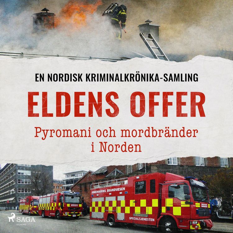 Produktbild: Eldens offer &ndash; Pyromani och mordbr&auml;nder i Norden