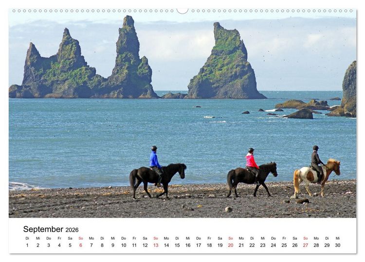 Produktbild: Die Pferde Islands - Ein Streifzug durch Island (Wandkalender 2026 DIN A2 quer), CALVENDO Monatskalender