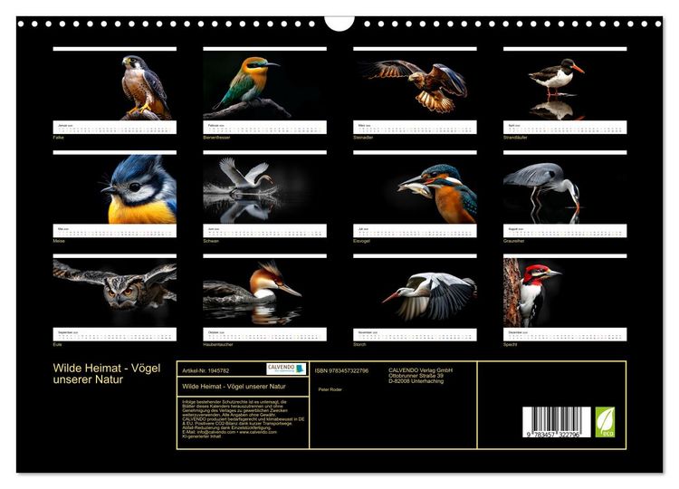Produktbild: Wilde Heimat - V&ouml;gel unserer Natur (Wandkalender 2026 DIN A3 quer), CALVENDO Monatskalender