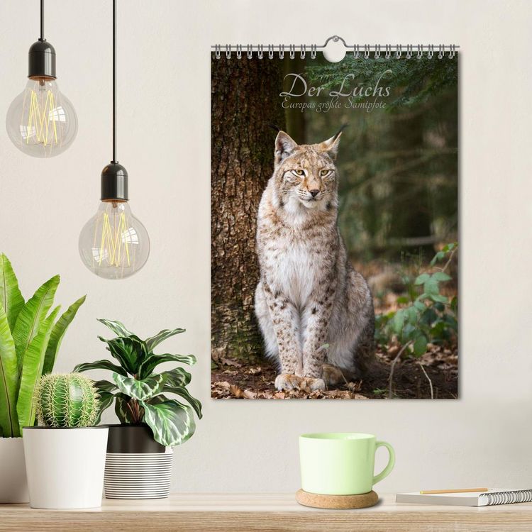 Produktbild: Der Luchs - Europas gr&ouml;&szlig;te Samtpfote (Wandkalender 2026 DIN A4 hoch), CALVENDO Monatskalender