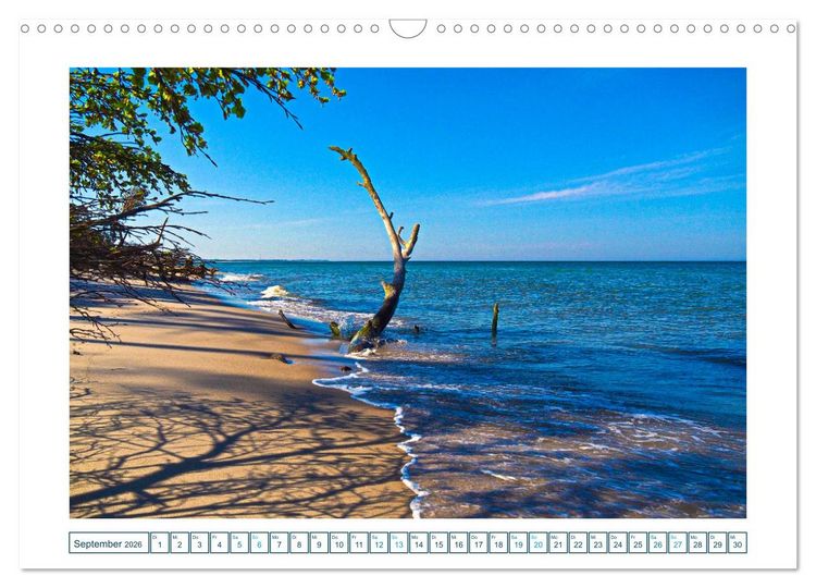 Produktbild: Der Weststrand am Dar&szlig; (Wandkalender 2026 DIN A3 quer), CALVENDO Monatskalender