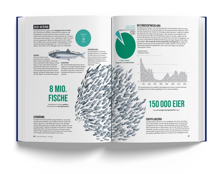 Produktbild: Das Nordseebuch