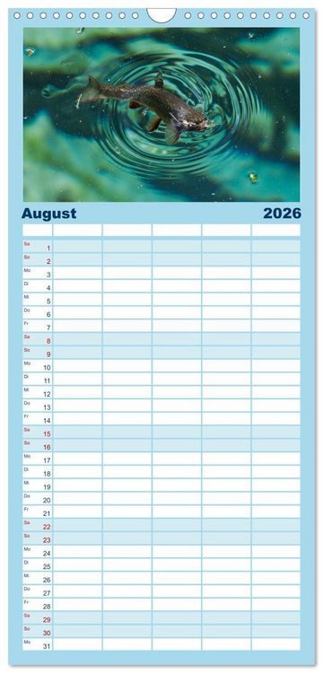 Produktbild: Familienplaner 2026 - Faszination Fische mit 5 Spalten (Wandkalender, 21 x 45 cm) CALVENDO