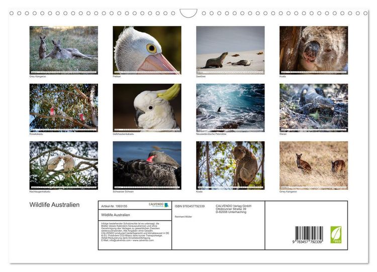 Produktbild: Wildlife Australien (Wandkalender 2026 DIN A3 quer), CALVENDO Monatskalender