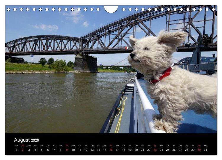 Produktbild: Binnenschiff Ahoi! (Wandkalender 2026 DIN A4 quer), CALVENDO Monatskalender