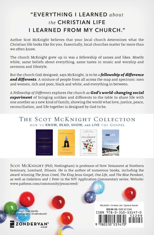 Produktbild: A Fellowship of Differents