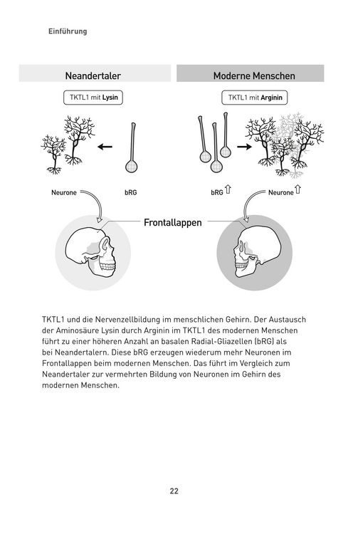 Produktbild: Die Zucker-Revolution