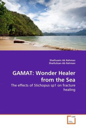 Produktbild: Ab Rahman, S: GAMAT: Wonder Healer from the Sea
