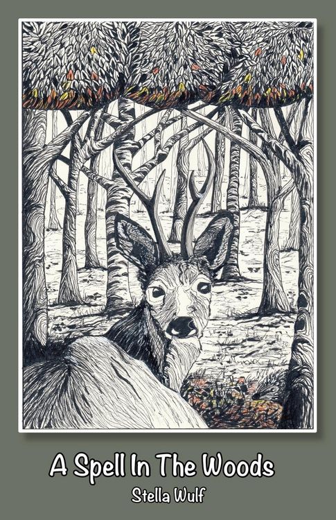 Produktbild: A Spell in The Woods