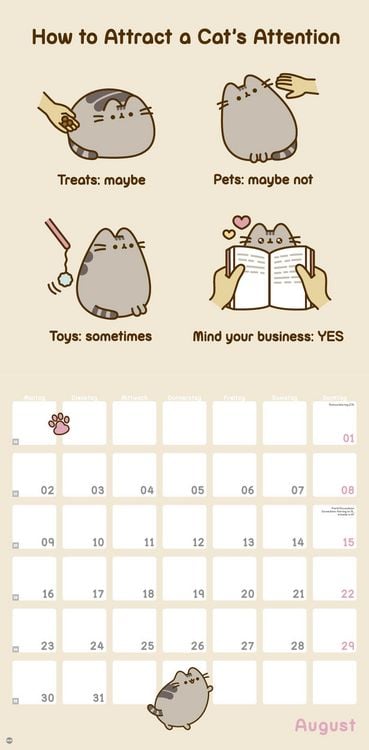 Produktbild: Pusheen Broschurkalender