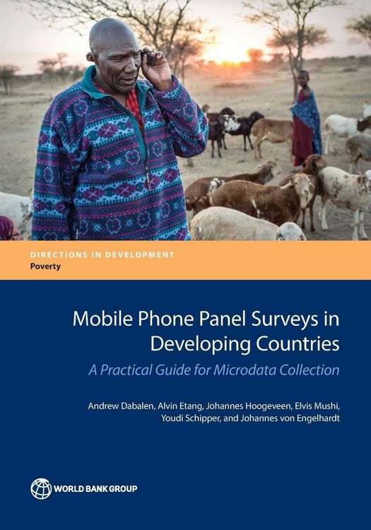 Produktbild: Mobile Phone Panel Surveys in Developing Countries
