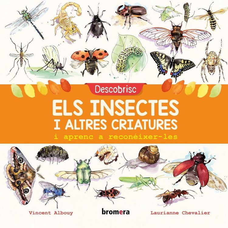 Produktbild: Descobrisc els insectes i altres criatures i aprenc a recon&eacute;ixer-les