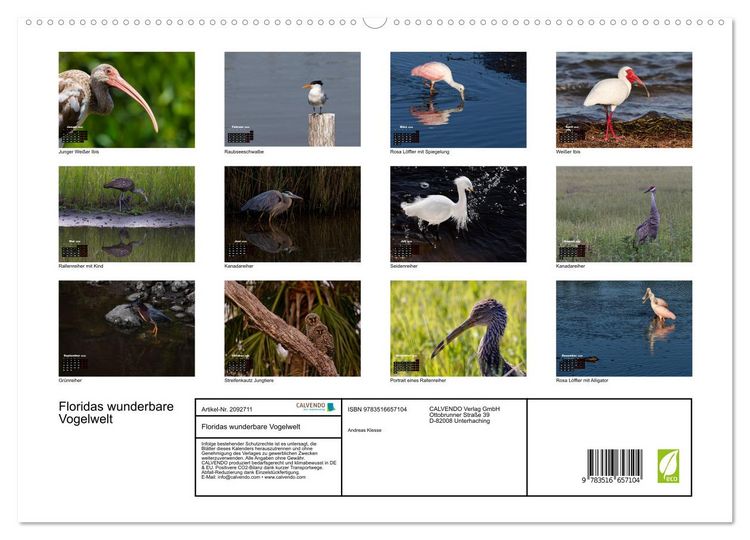 Produktbild: Floridas wunderbare Vogelwelt (hochwertiger Premium Wandkalender 2026 DIN A2 quer), Kunstdruck in Hochglanz