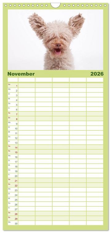 Produktbild: Familienplaner 2026 - SCHLAPPOHREN mit 5 Spalten (Wandkalender, 21 x 45 cm) CALVENDO