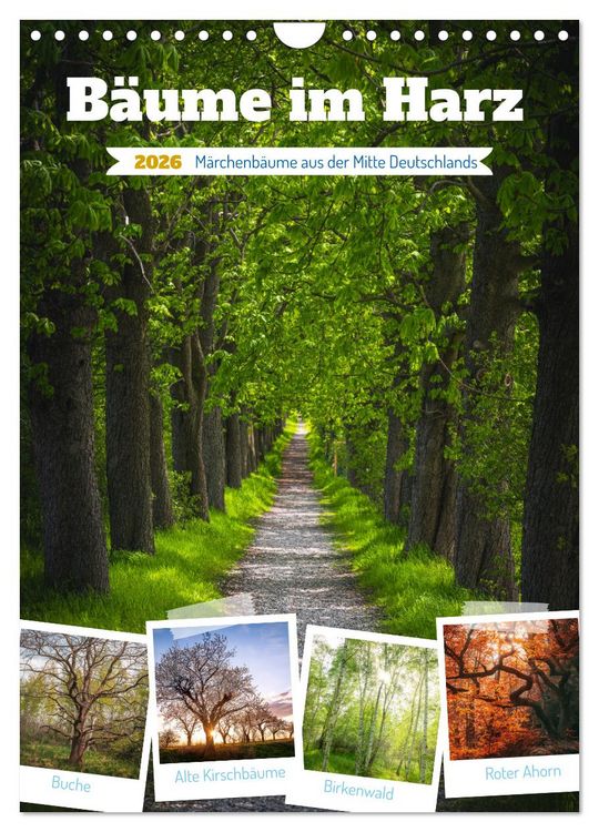 Produktbild: B&auml;ume im Harz (Wandkalender 2026 DIN A4 hoch), CALVENDO Monatskalender