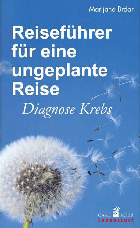 Produktbild: Reiseführer für eine ungeplante Reise