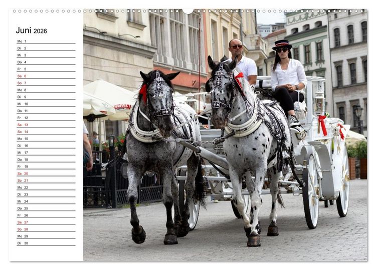 Produktbild: Besucht doch mal Krakau (Wandkalender 2026 DIN A2 quer), CALVENDO Monatskalender