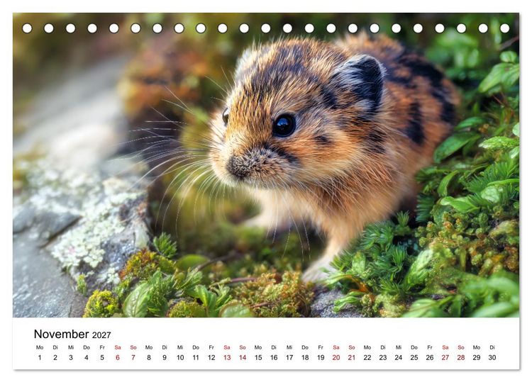Produktbild: Lemminge - Kleine Helden der Tundra (Tischkalender 2027 DIN A5 quer), CALVENDO Monatskalender
