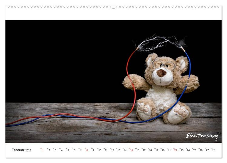 Produktbild: Verschw&ouml;rungs - und andere Theorien (hochwertiger Premium Wandkalender 2026 DIN A2 quer), Kunstdruck in Hochglanz