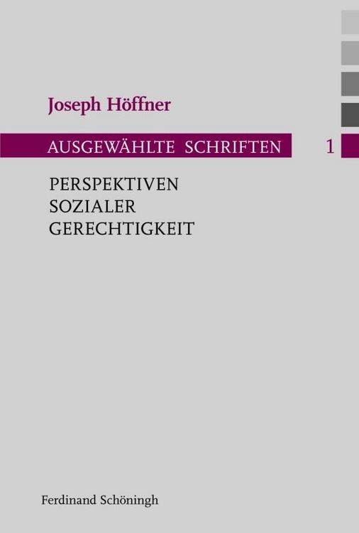 Produktbild: Perspektiven sozialer Gerechtigkeit