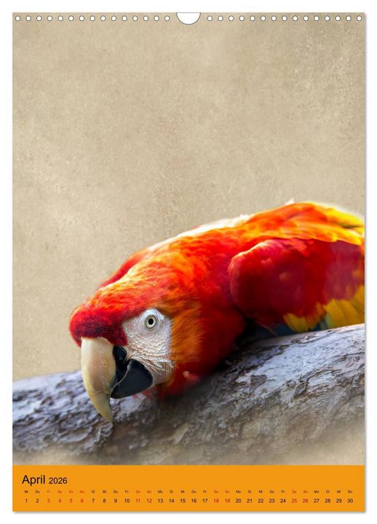 Produktbild: Portraits of Animals (Wandkalender 2026 DIN A3 hoch), CALVENDO Monatskalender