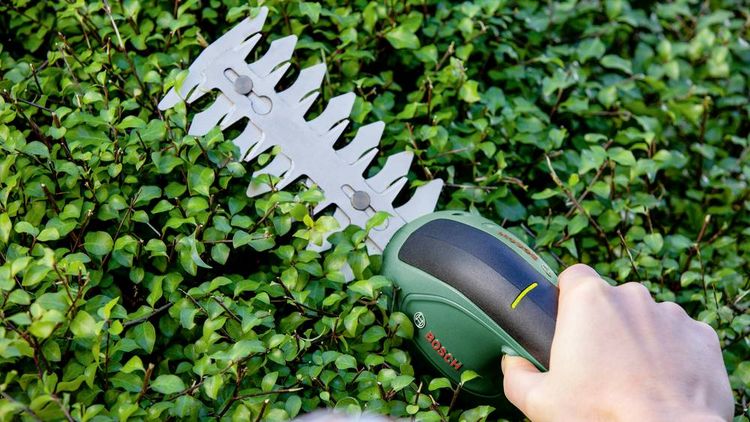 Produktbild: Bosch Home and Garden 0600833303 EasyShear Akku Strauchschere, Grasschere inkl. Akku 3.6 V Li-Ion