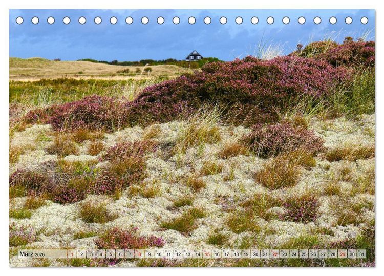 Produktbild: Skagen &ndash;&nbsp;Licht und Leben an D&auml;nemarks Nordspitze (Tischkalender 2026 DIN A5 quer), CALVENDO Monatskalender