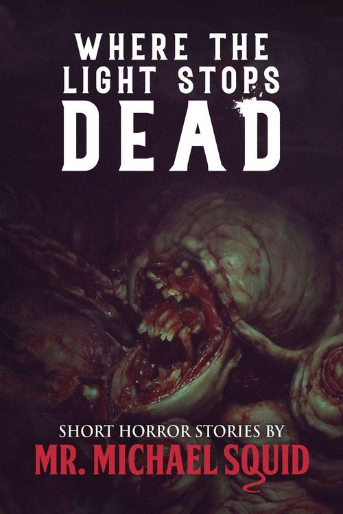 Produktbild: Where the Light Stops Dead