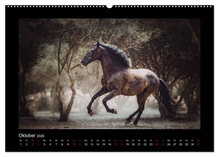 Produktbild: Die Faszinierende Welt der Pferde (Wandkalender 2026 DIN A2 quer), CALVENDO Monatskalender