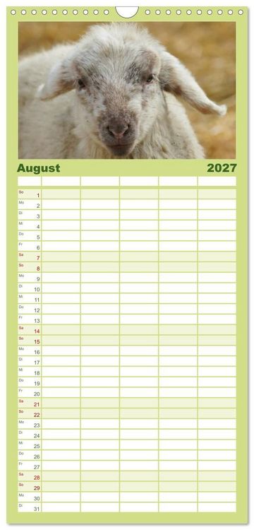Produktbild: Familienplaner 2027 - Das Leben der Schafe mit 5 Spalten (Wandkalender, 21 x 45 cm) CALVENDO